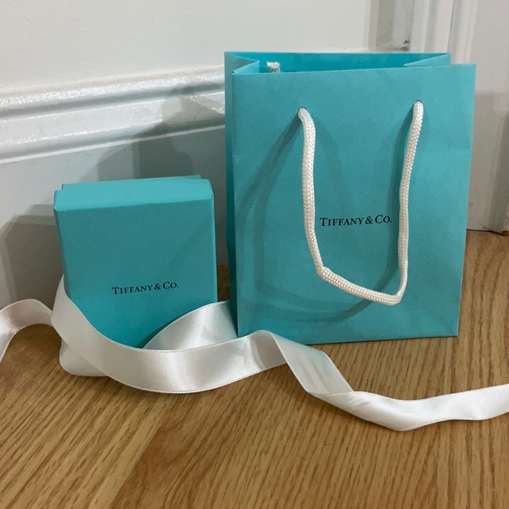 Tiffany & Co small bag and box